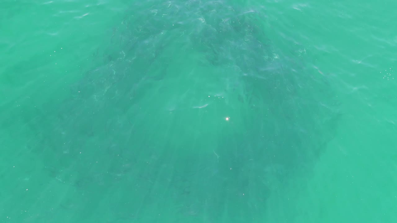 Overhead turquoise water at Buzzards Beach, Baja California Sur, with subtle ripples, faint darker patches below the surface, and no visible people.