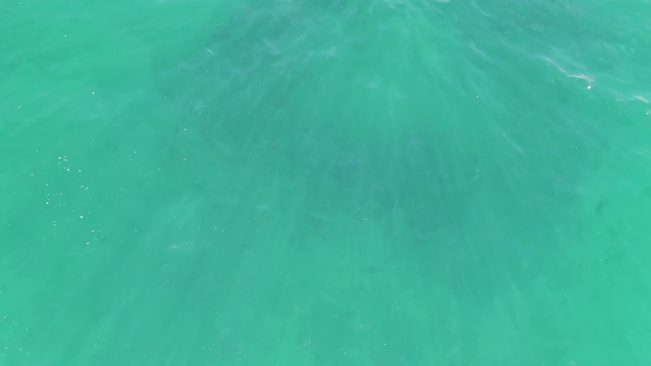 Turquoise ocean surface with faint ripples and underwater shadows.