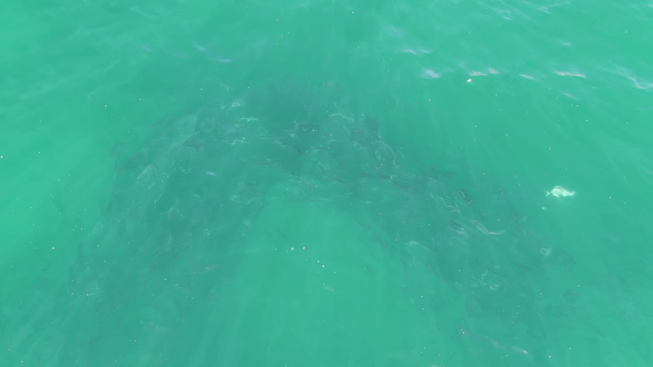 Clear turquoise water at Buzzards Beach in Baja California Sur, with faint darker subsurface patterns near the upper frame and no visible people.