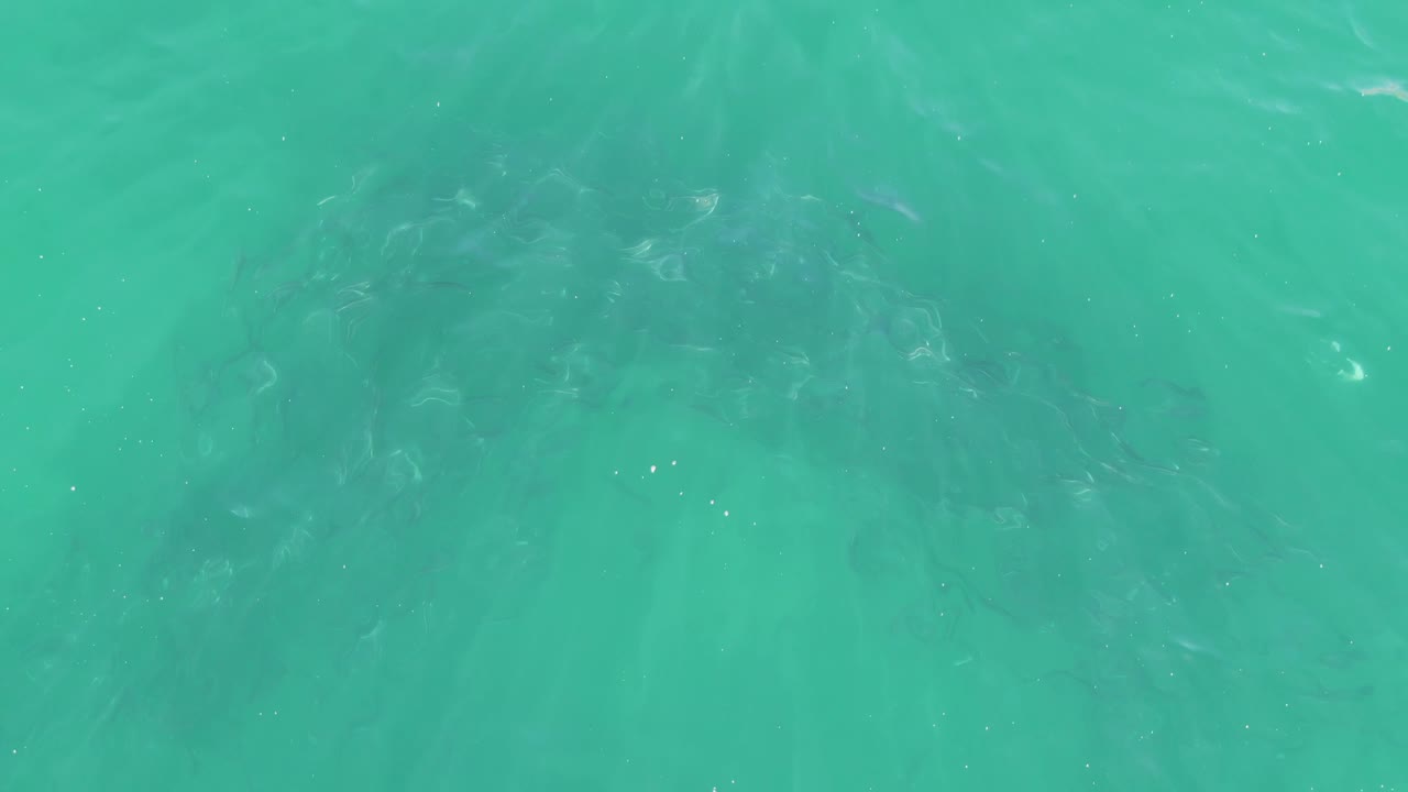Green-blue ocean water at Buzzards Beach in Baja California Sur, with rippled surface light and a darker underwater band across the upper half, no visible people.
