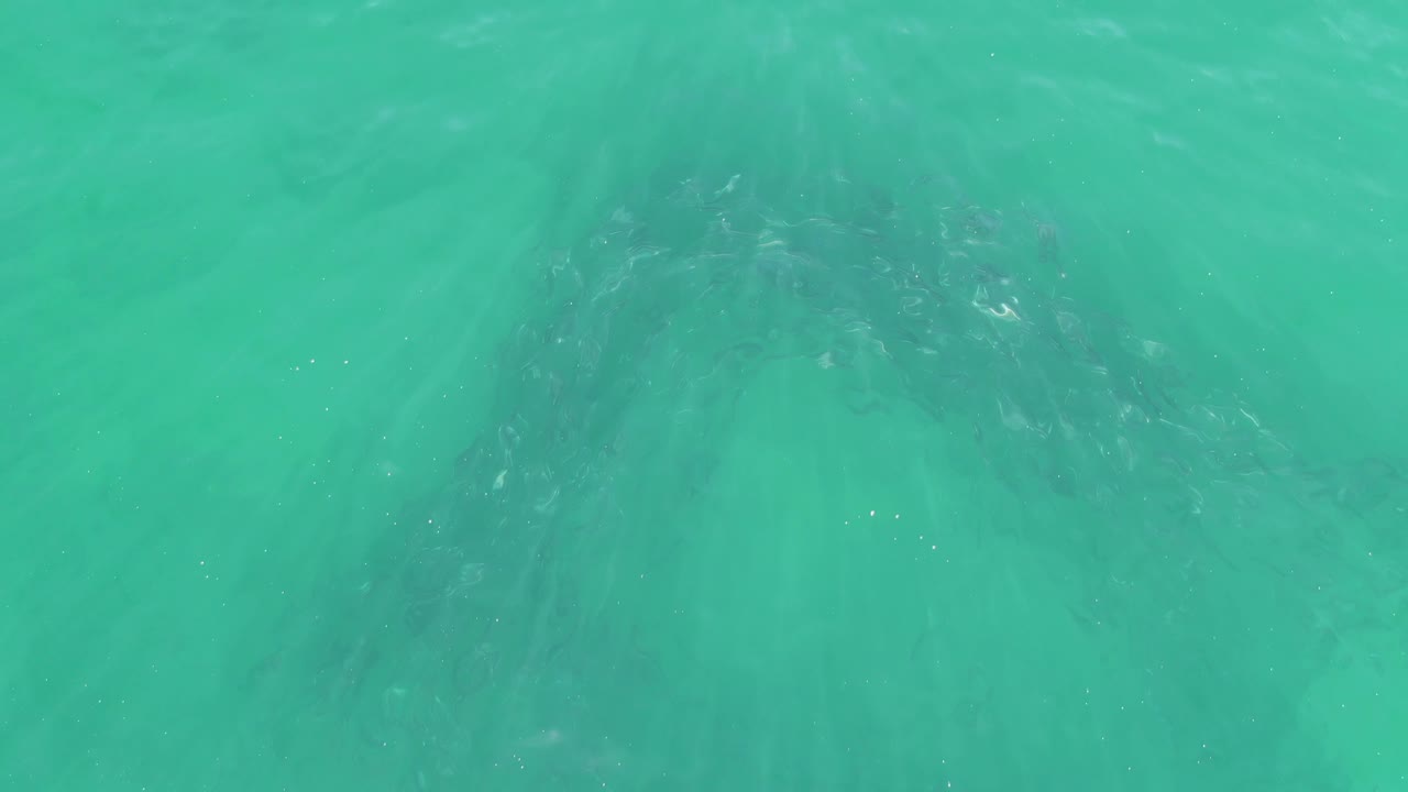 Turquoise ocean water over submerged dark rocks