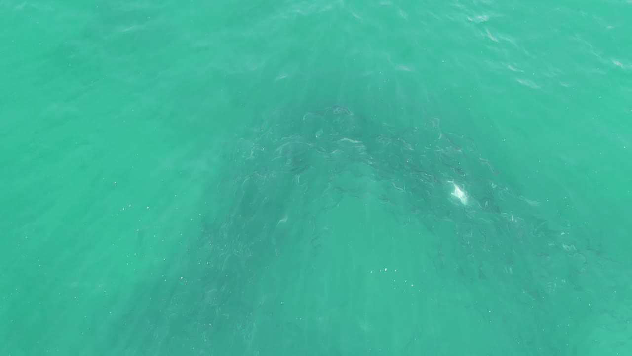 Clear turquoise water at Buzzards Beach shows darker underwater rock forms softened by ripples and small light reflections, with no visible people.