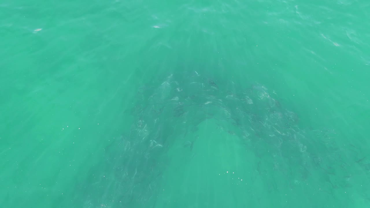 A bright turquoise overhead frame from Buzzards Beach holds on submerged rock patches beneath a lightly rippled ocean surface, with no visible people.
