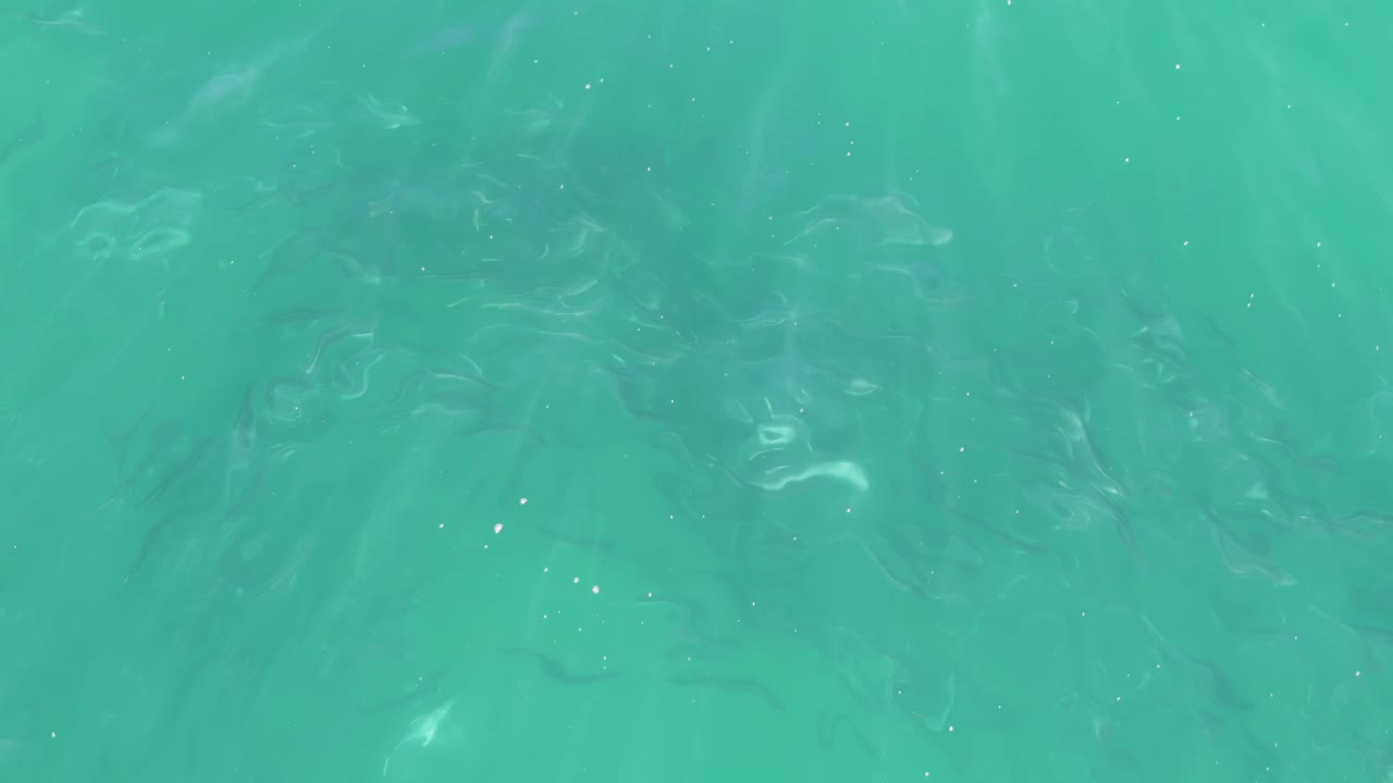 Dark fish shapes spread across green-blue shallow water at Buzzards Beach, Baja California Sur, with scattered bright reflections and no visible people.