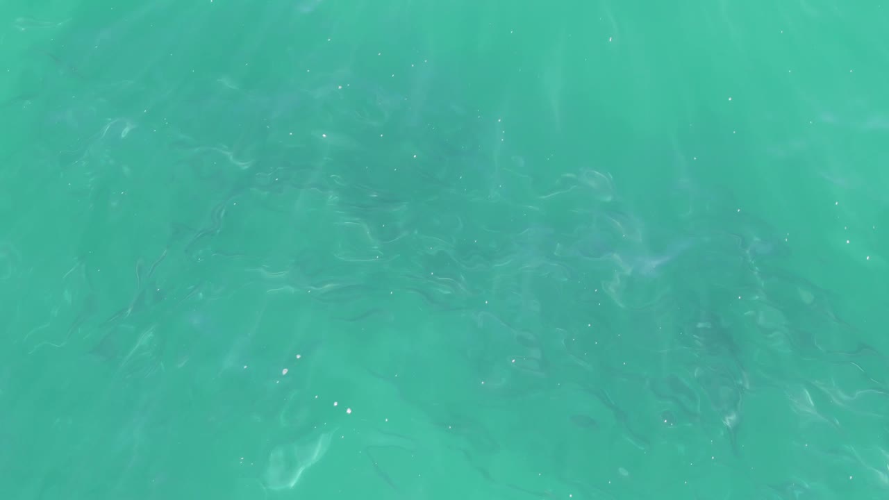 The fish school remains visible through rippled turquoise water at Buzzards Beach, Baja California Sur, with small sparkle points near the center and no visible people.