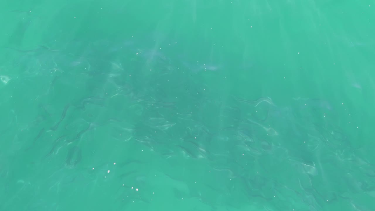 Fish cluster below the surface in shallow turquoise water at Buzzards Beach, Baja California Sur, while faint wave texture crosses the frame and no people are visible.