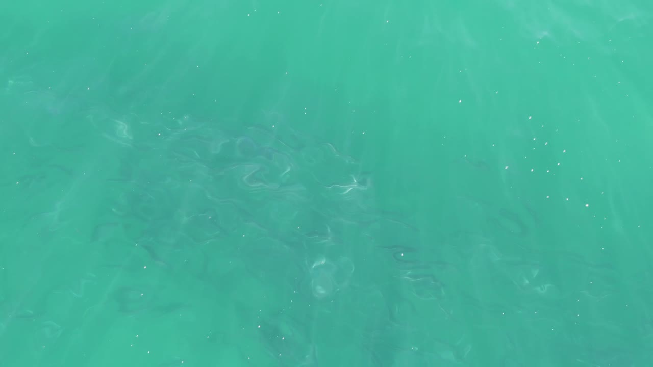 Opening frame of clear turquoise water at Buzzards Beach, Baja California Sur, with faint darker shapes under the surface and no visible people.