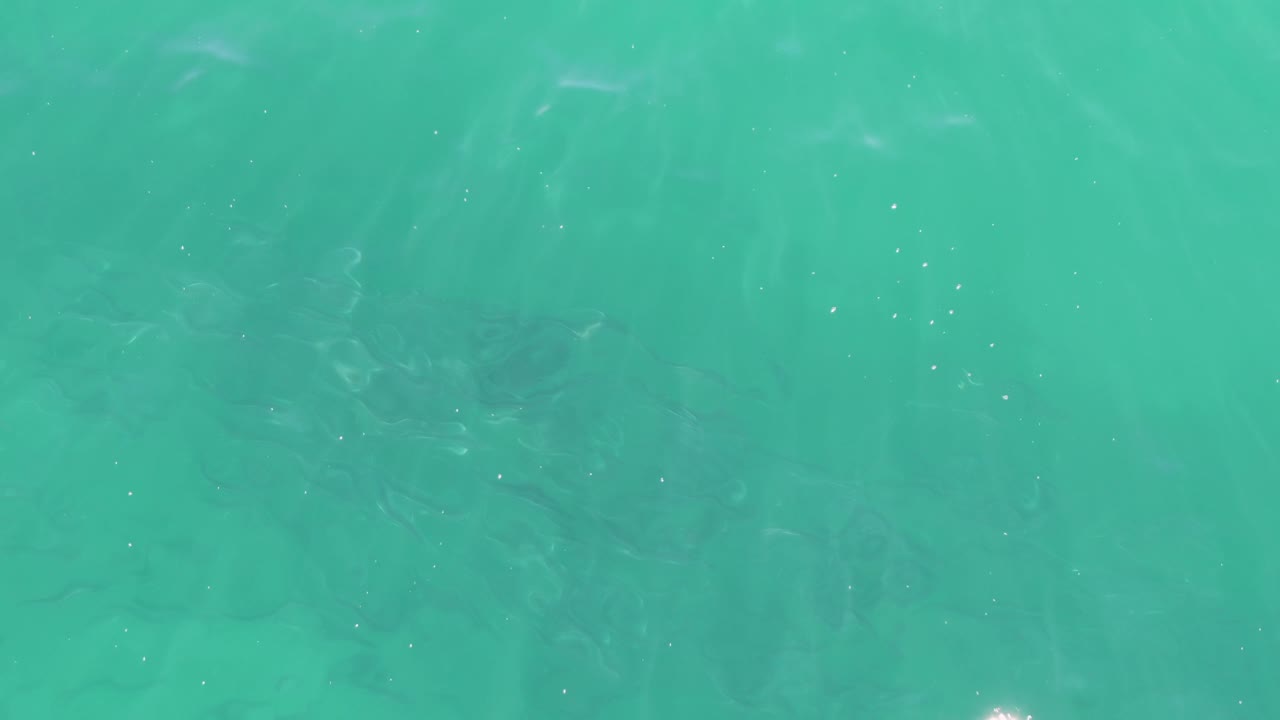 Mid-clip frame of turquoise water at Buzzards Beach, Baja California Sur, with scattered bright flecks and muted underwater forms, no visible people.