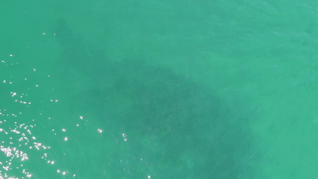 Top-down view of shallow turquoise water at Buzzards Beach, Baja California Sur, with bright sun flecks near the left edge and a faint manatee form under the surface, no visible people.