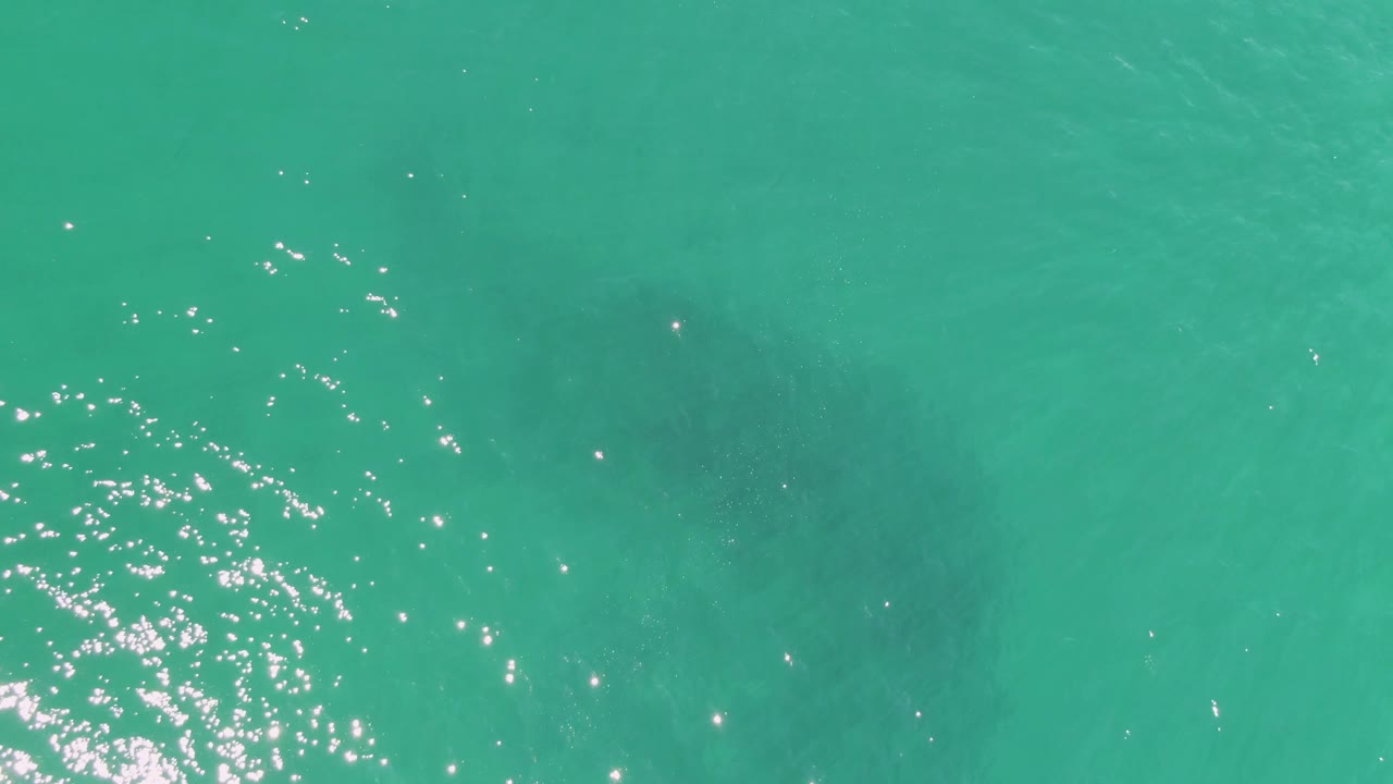 At Buzzards Beach, the manatee is faintly visible under green-blue shallow water, offset from a bright oval of surface reflections, with no visible people.