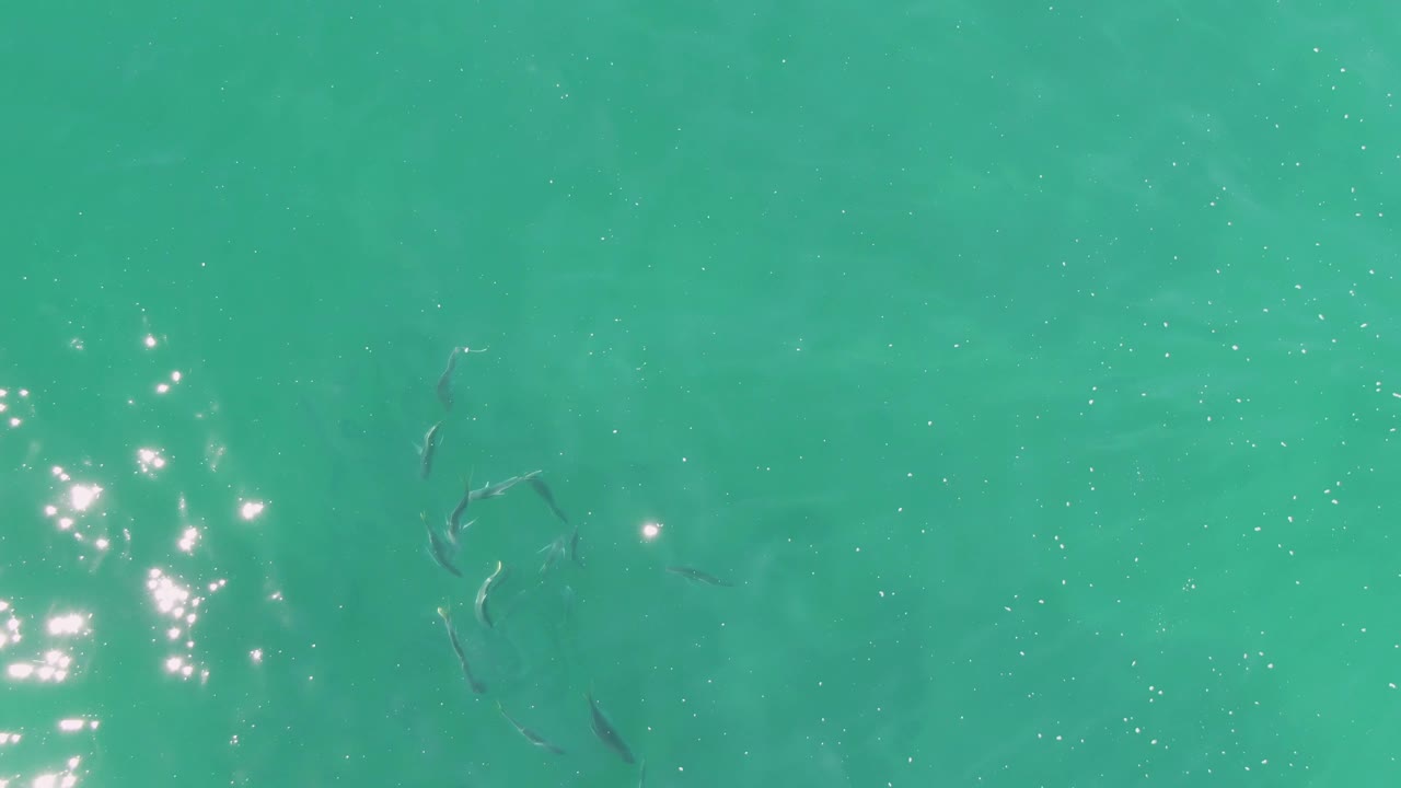 Small fish appear beneath turquoise water at Buzzards Beach, Baja California Sur, while stronger sun glints gather near the right side and no people are visible.