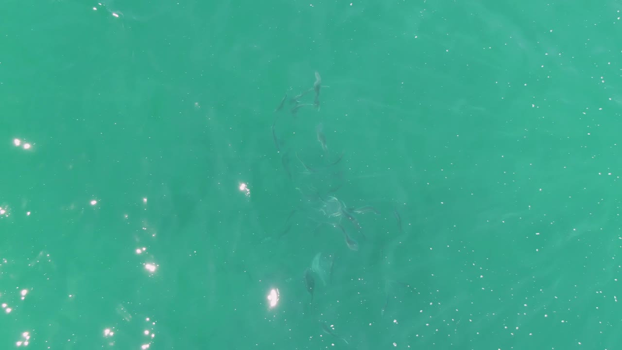Faint fish shapes are visible under green-blue water at Buzzards Beach, Baja California Sur, with sun shimmer near the surface and no visible people.