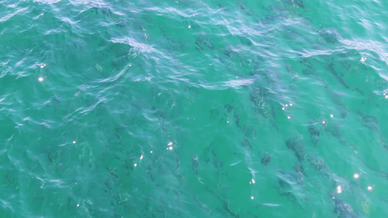 Clear turquoise water with dark fish under ripples