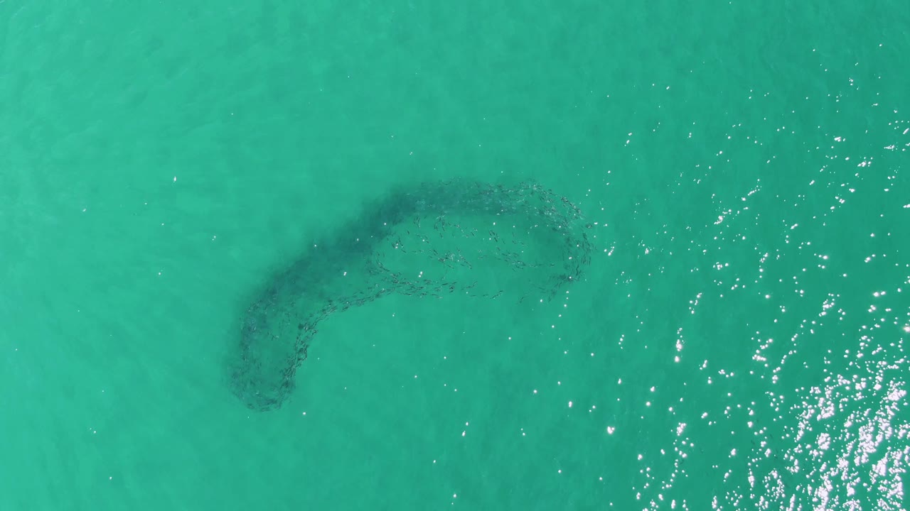 Curved dark reef under turquoise ocean water with sun sparkles