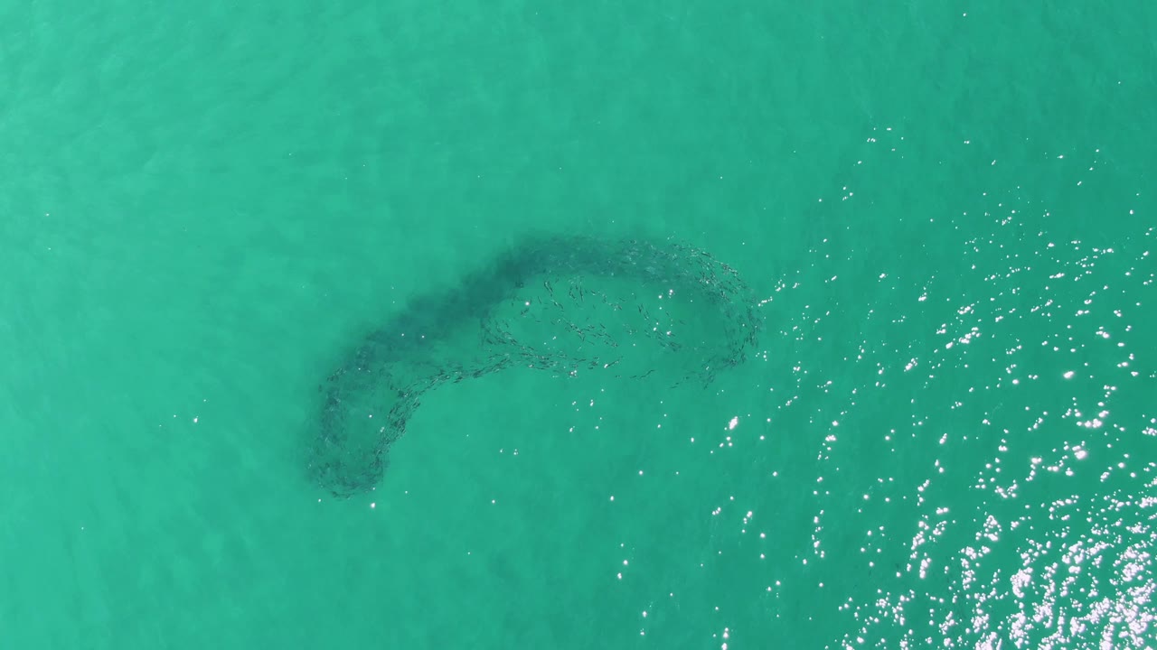 Top-down Buzzards Beach frame with the crescent-shaped underwater reef slightly left of center, turquoise water, small ripples, and no visible people.