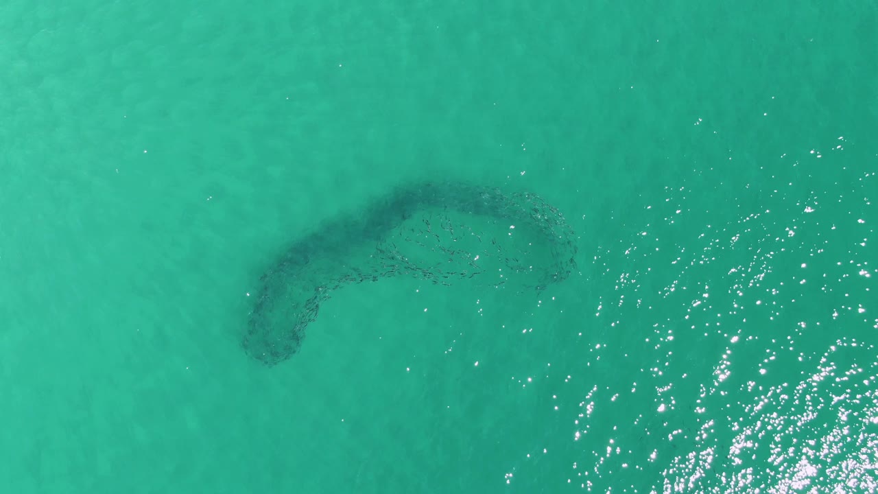 Aerial top-down frame from Buzzards Beach, Baja California Sur, with the curved reef near the upper center, green-blue water, bright reflection clusters, and no visible people.