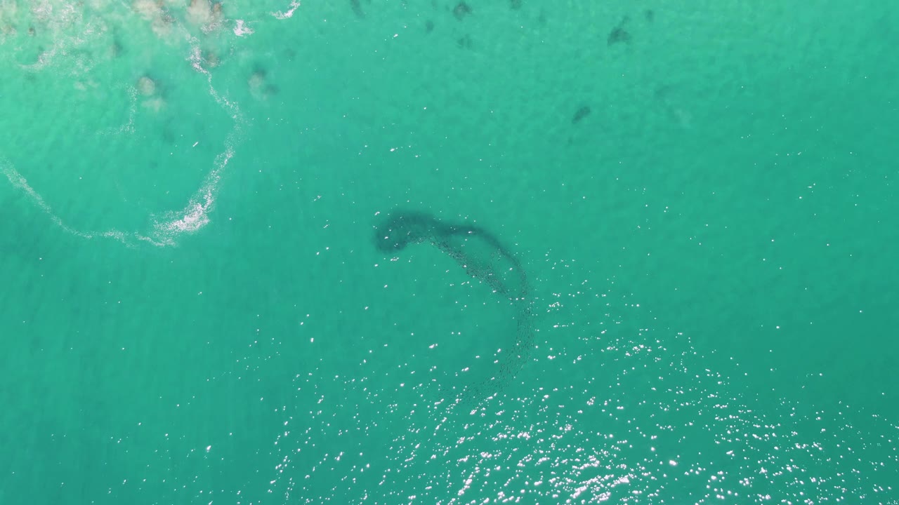 At Buzzards Beach in Baja California Sur, a dark whale-like shape sits below clear turquoise water near scattered white foam, with no visible people.