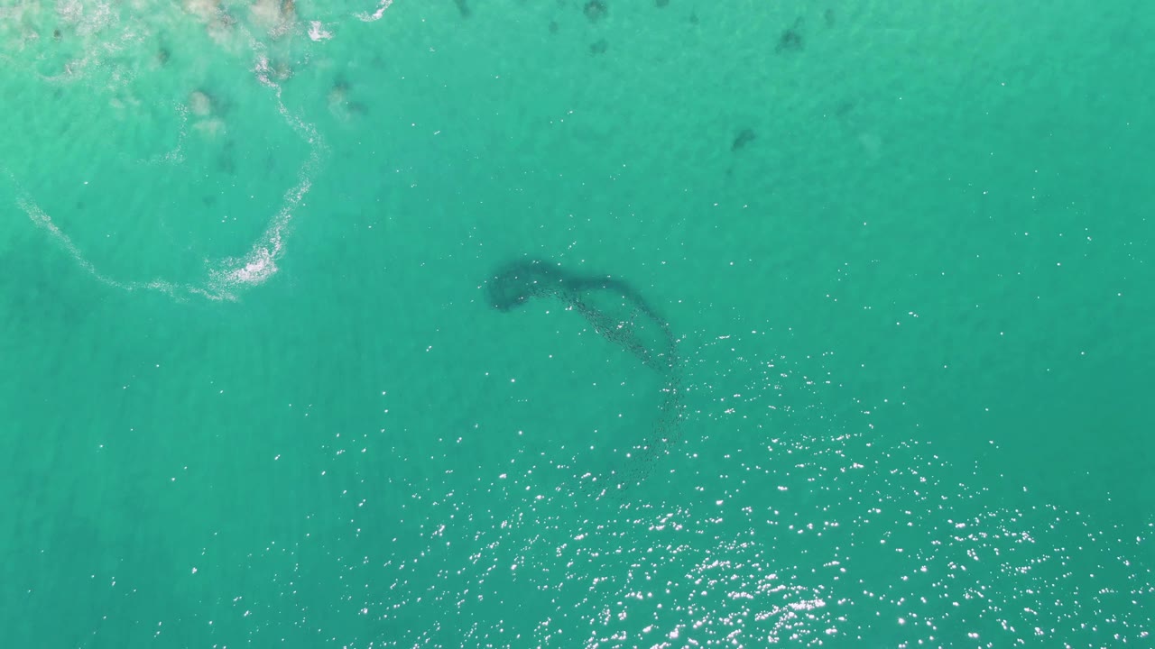 The animal remains visible under turquoise ocean water at Buzzards Beach, with sun glints spreading across the lower part of the frame and no visible people.