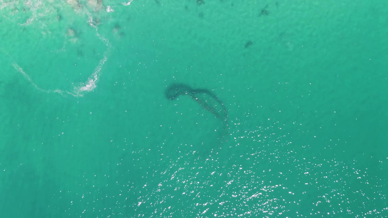 A whale-like dark form is centered below the clear water at Buzzards Beach, while pale foam traces the upper edge and no people are visible.