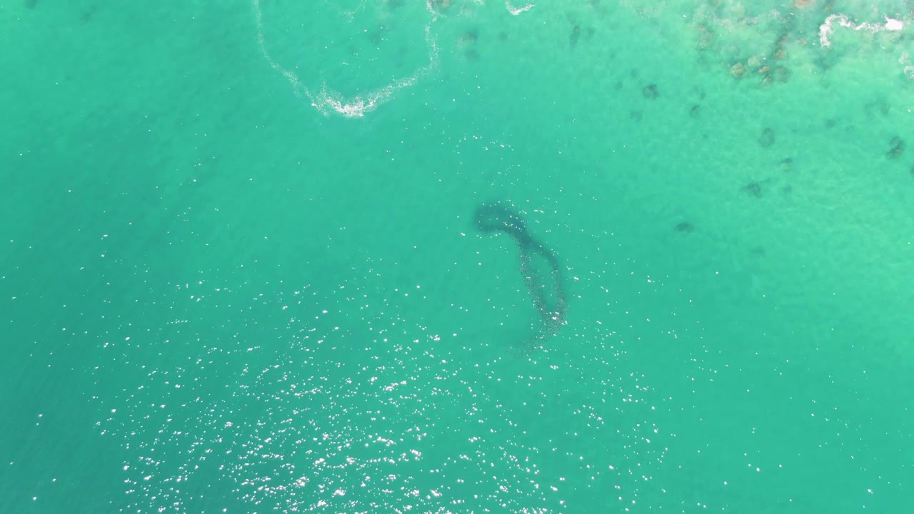 The animal appears under the teal water near the upper right portion of the frame, with bright sun sparkle and no visible people at Buzzards Beach.