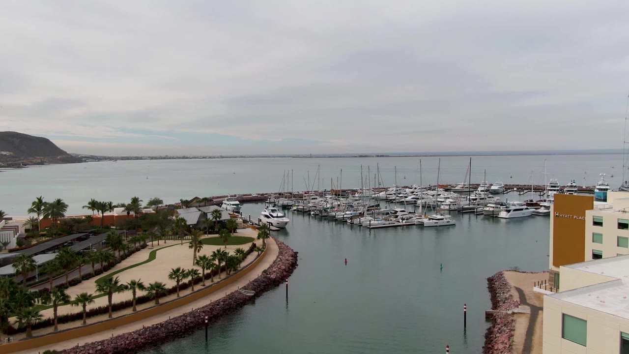 Marina slips and yachts beside a curved palm-lined road under gray clouds.