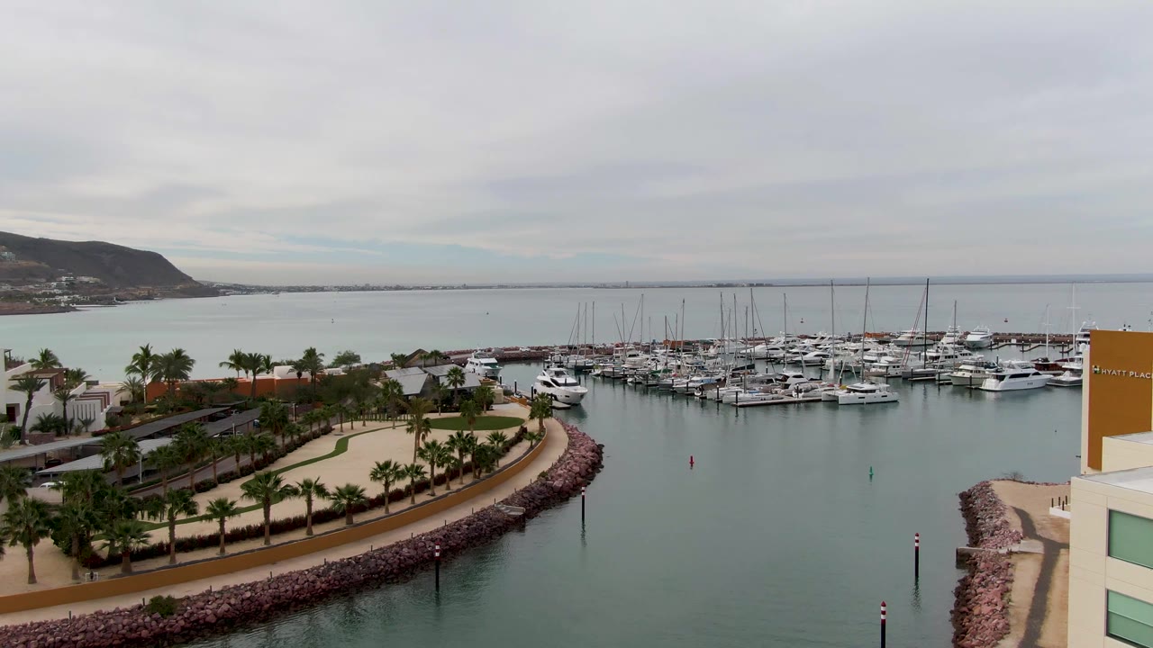 Wide marina view with docked yachts, calm bay, palm-lined road, and cloudy horizon.