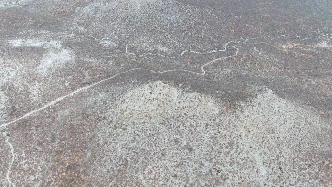Drone-like view of dry scrubland with a white branching wash.