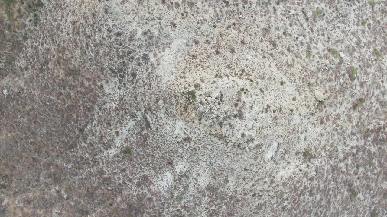 Overhead desert ground with pale soil and sparse shrubs