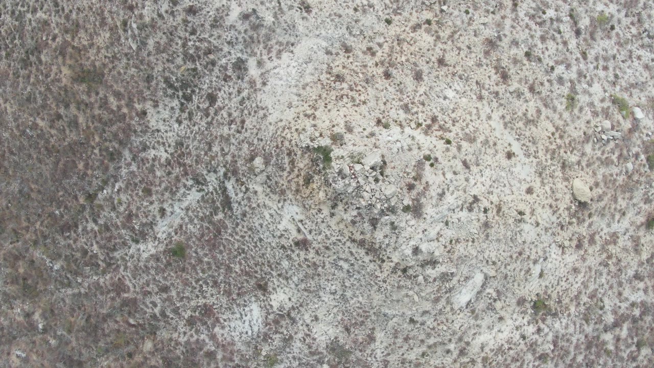 Top-down view of rocky Punta Gorda Beach desert floor with pale exposed soil, sparse low vegetation, isolated shrubs, and no visible people.