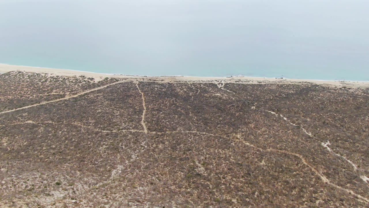 Aerial frame over Punta Gorda Beach dunes in Baja California Sur, showing scrub-covered sand, pale tracks, a narrow beach strip, blue-gray ocean, and no visible people.