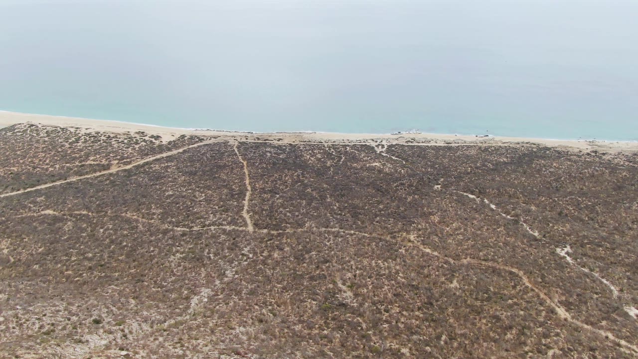 Aerial view at Punta Gorda Beach with diagonal dune tracks crossing scrubby sand, a pale beach line, blue-gray ocean, overcast sky, and no visible people.