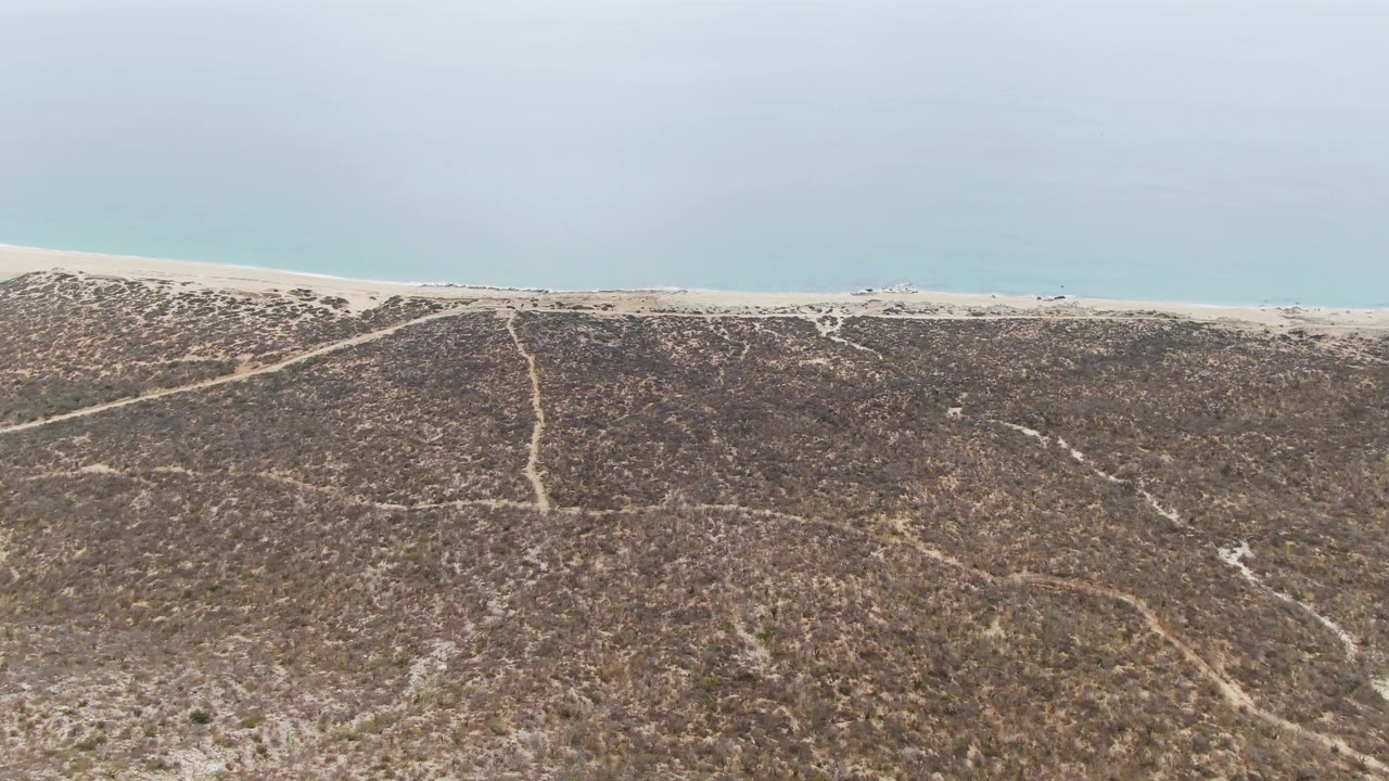 Aerial coastal frame from Punta Gorda Beach showing a dry dune slope, winding pale tracks through scrub, a sandy shoreline band, muted ocean water, and no visible people.
