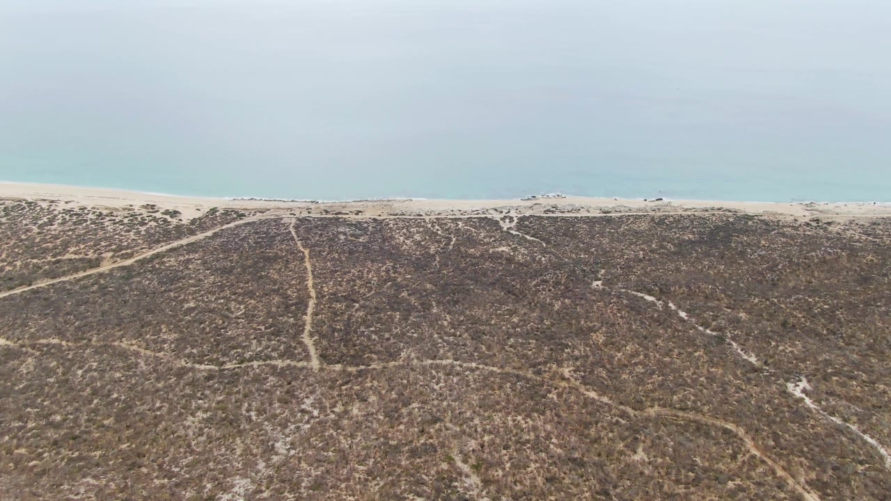 Aerial frame over Punta Gorda Beach, Baja California Sur, with scrub-covered dunes below, a thin sand strip at the shore, pale ocean beyond, and no visible people.