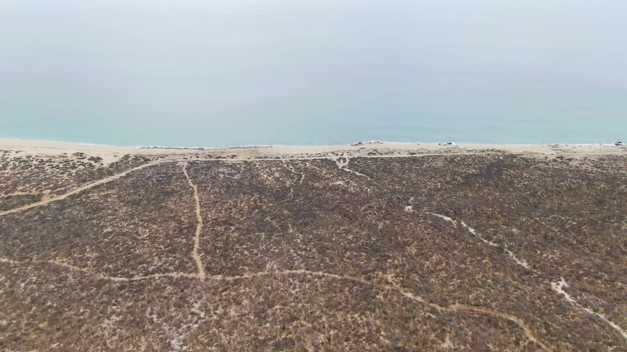 Wide aerial frame of Punta Gorda Beach with scrubland dunes in the foreground, pale tire or path marks across the sand, a light beach band, calm ocean, and no visible people.