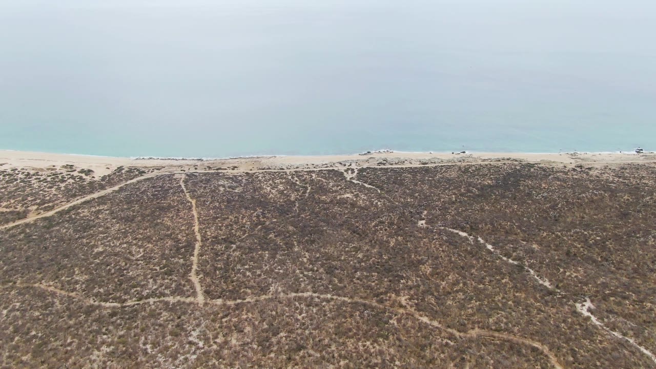 Coastal dune slope below a sandy shoreline and blue-green ocean