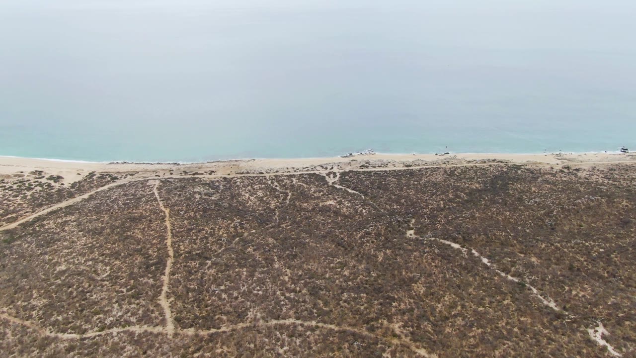 Coastal dunes with branching paths below a sandy beach and ocean.