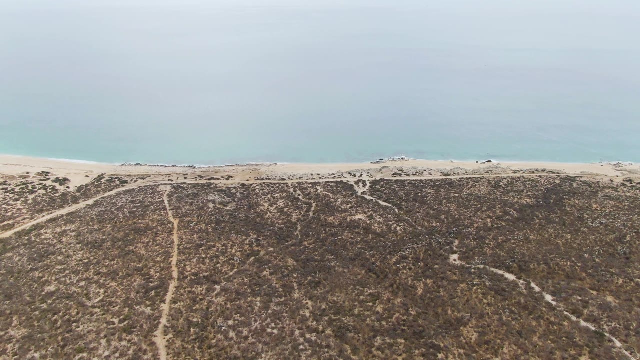 Aerial view of scrub dunes, sandy beach, pale ocean, and a small vehicle near shore.