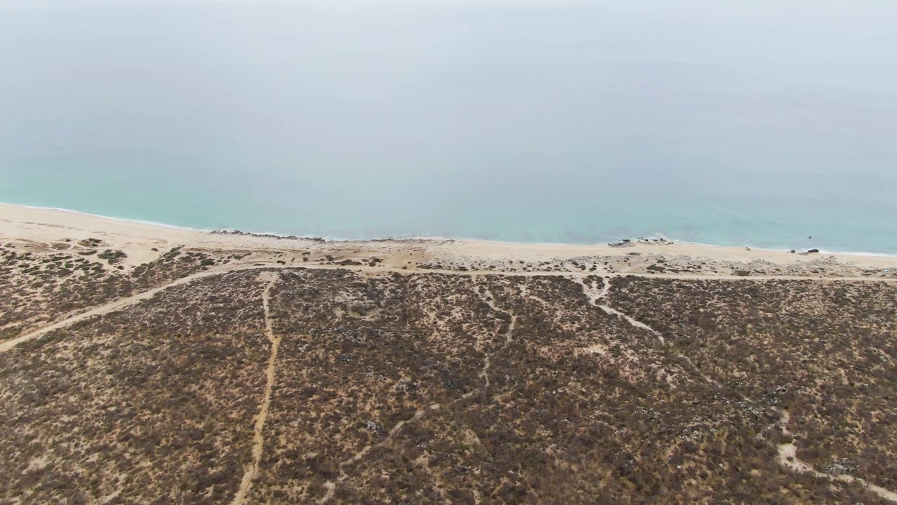 Punta Gorda Beach appears from above with darker scrub patterns across the dunes, a narrow band of sand, small shoreline activity, and soft blue water beyond.
