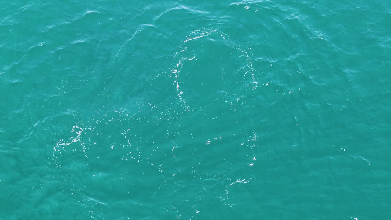 At Punta Gorda Beach in Baja California Sur, Mexico, the dolphin is faint below the left-side water texture as bubbles and ripples spread across the turquoise surface, with no visible people.