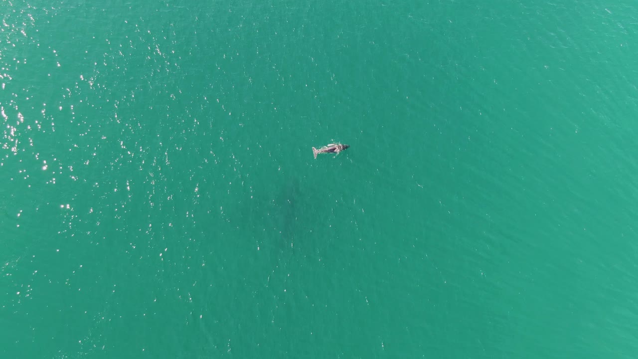 Swimmer crossing clear turquoise water with sun glints nearby.