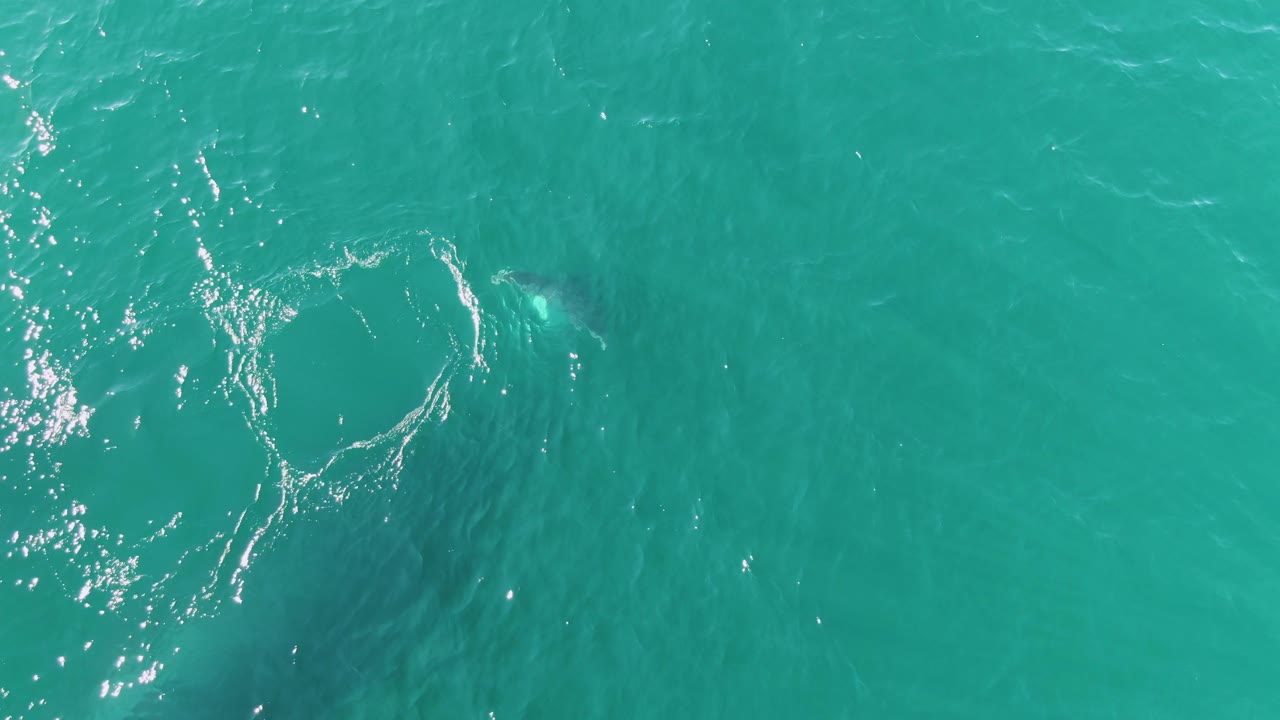 Top-down view of turquoise water at Punta Gorda Beach, Baja California Sur, Mexico, with a white bubble ring forming near the left edge and no visible people.