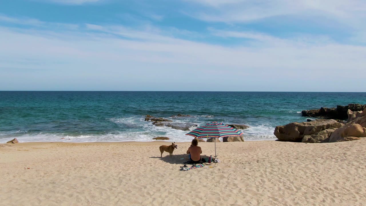 At Punta Gorda Beach, the striped umbrella shades the seated person as the dog stands on the sand and white foam gathers around the rocks offshore.