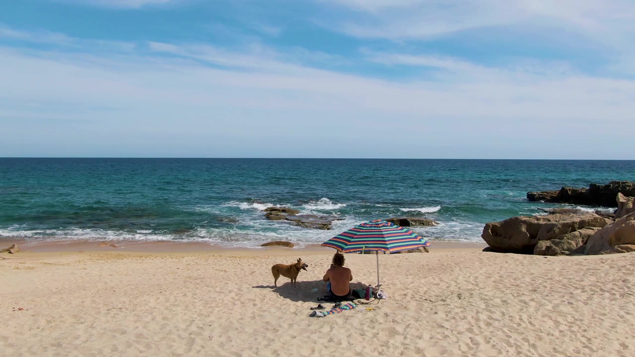 Dog standing near a seated beachgoer under a striped umbrella with surf and rocks behind.