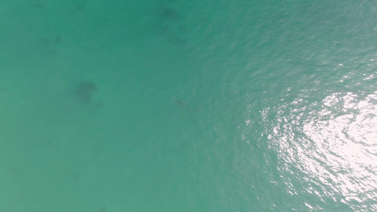 Turquoise water at Punta Gorda Beach fills the frame with a darker underwater area near the upper left, small surface ripples, and no visible people.