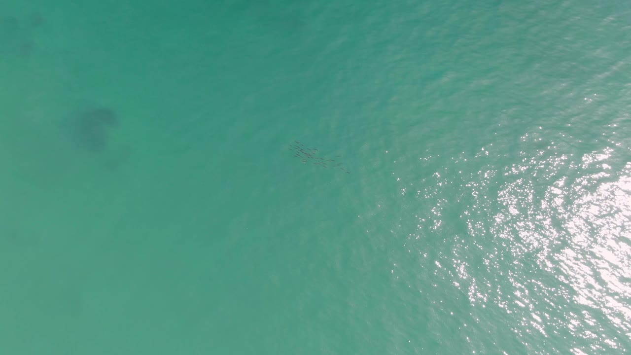 Turquoise water with a dark patch and small marine life shapes below the surface.