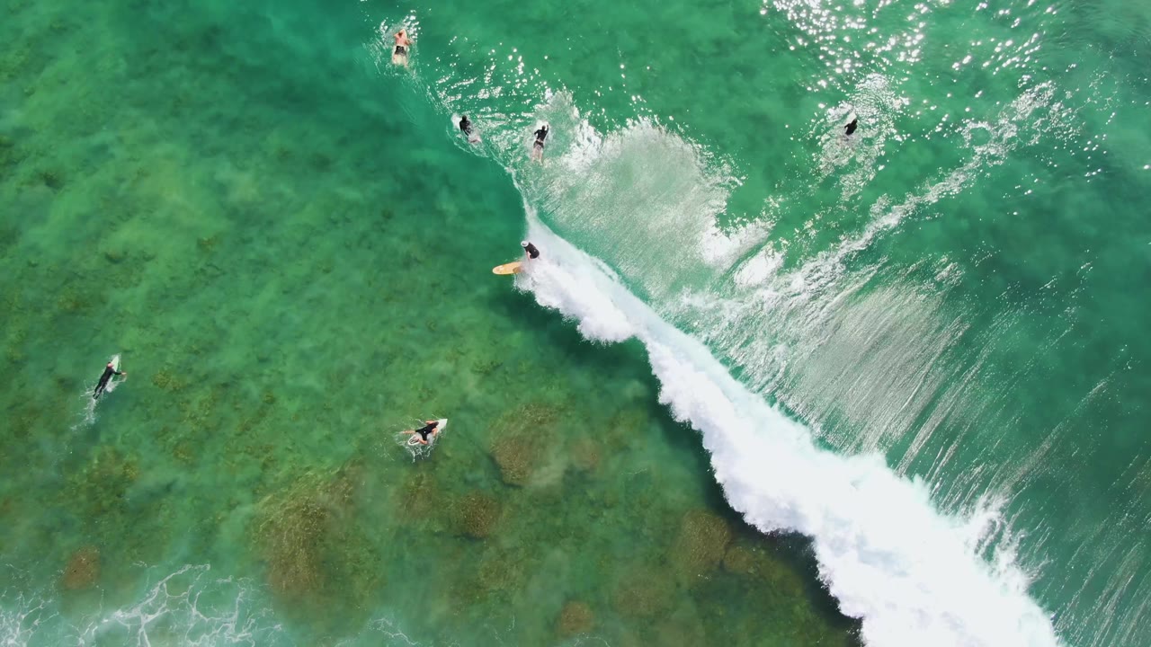 At Punta Gorda Beach in Baja California Sur, surfers are spaced across green-blue water while the white foam line grows wider through the center and lower right of the overhead frame.