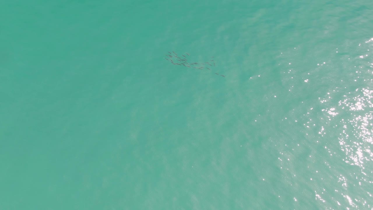 At Punta Gorda Beach in Baja California Sur, a small school of dark fish appears near the upper left of clear turquoise water with bright surface reflections and no visible people.