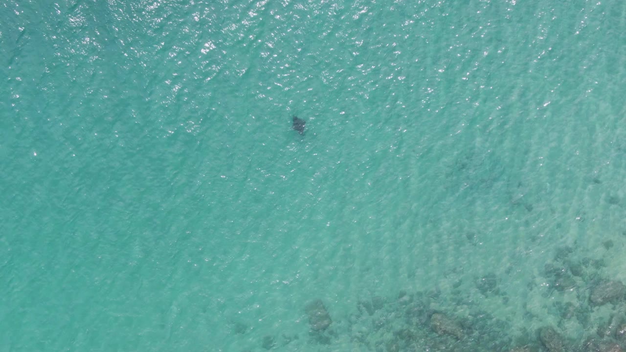 Clear turquoise ocean surface with a small dark swimmer shape.
