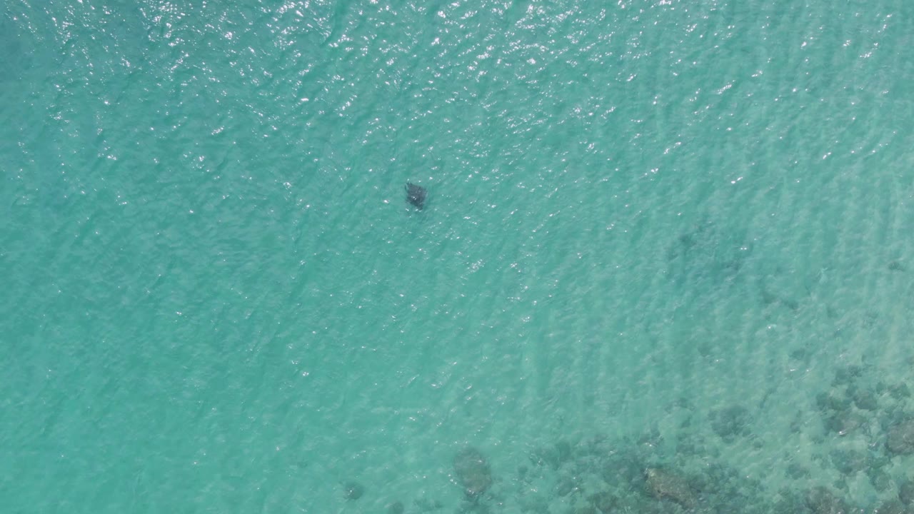The overhead frame shows the dark swimmer-like shape farther across the turquoise water, with scattered submerged rocks and bright surface reflections at Puerto Los Cabos Beach.