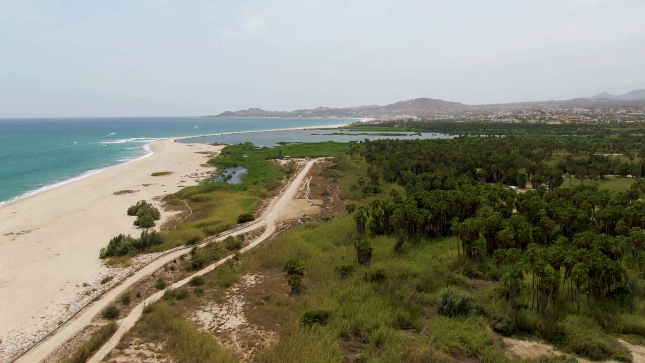 Aerial frame over Puerto Los Cabos Beach, Mexico, showing surf along a wide sandy shore, a pale dirt road through dunes, dense green trees inland, distant hills, and no visible people.
